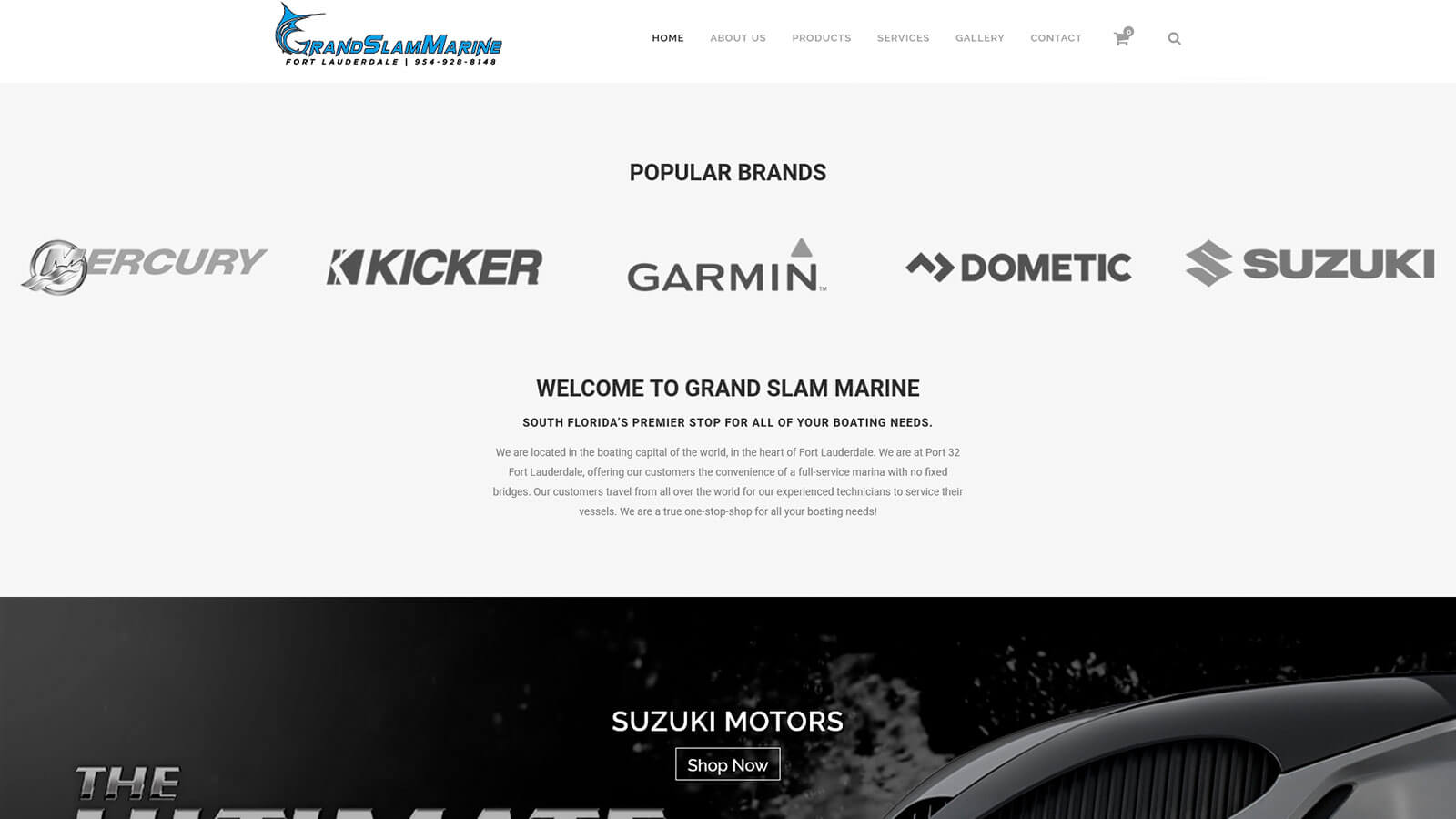 Portfolio Image